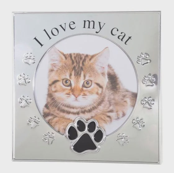 I Love My Cat - Silver Frame 4 x 4