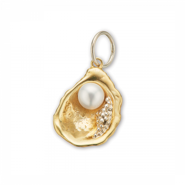 Brass and Silver The World Is Your Oyster Charm 4241