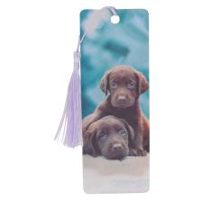 3D Bookmarks