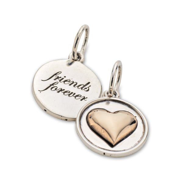 Silver and Bronze Friends Forever 3318