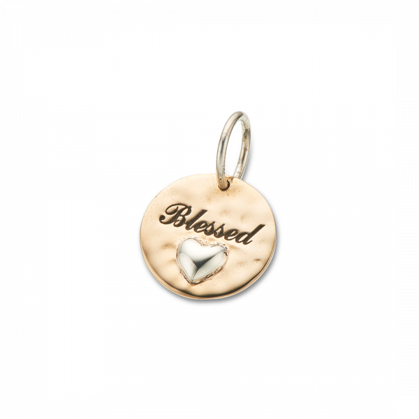Silver and Bronze Blessed Charm 4149