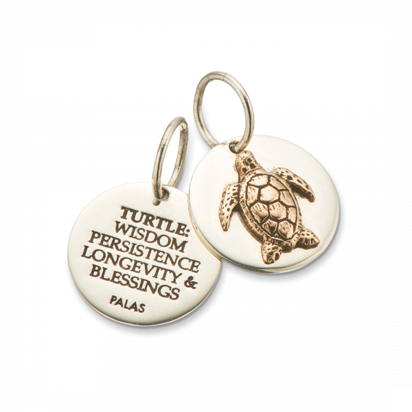 Silver and Bronze Turtle Charm 4310